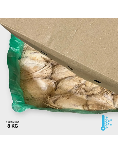 Small ex-layer quail between 180 & 220 g - 8 kg | Saint Laurent
