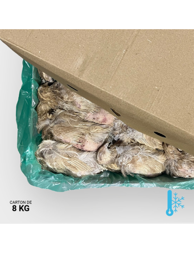 Small ex-layer quail between 180 & 220 g - 8 kg | Saint Laurent
