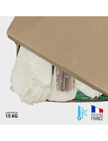 Pigeon adulte entre 400 et 800 g - 15 kg | Saint Laurent