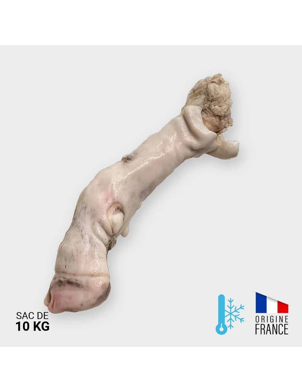 Pied d'agneau - 10 kg | Saint Laurent