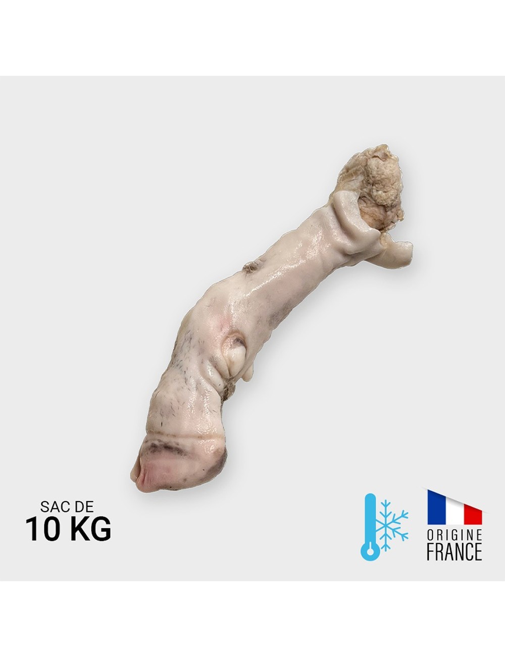 Pied d'agneau - 10 kg | Saint Laurent