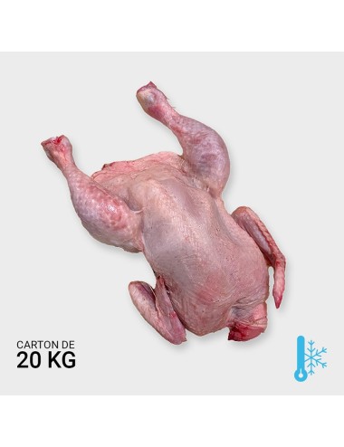 Poulet entier éviscéré - 20 kg | Saint Laurent