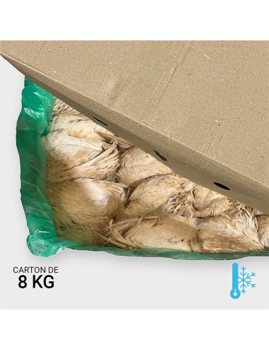 Small ex-layer quail between 180 & 220 g - 8 kg | Saint Laurent