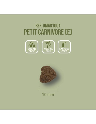 SAINT LAURENT - Petit Carnivore (E)