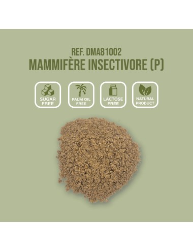 SAINT LAURENT - Mammifère Insectivore (P)