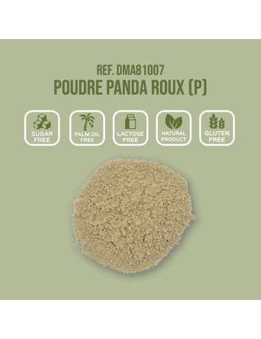 SAINT LAURENT - Red Panda Powder (Po)