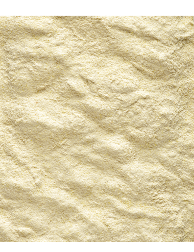 VERSELE - Nutribird A19 - 3 kg