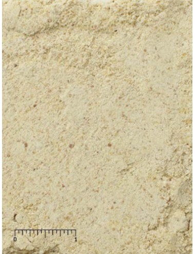 MAZURI - Ramphastid Hand Feeding Formula