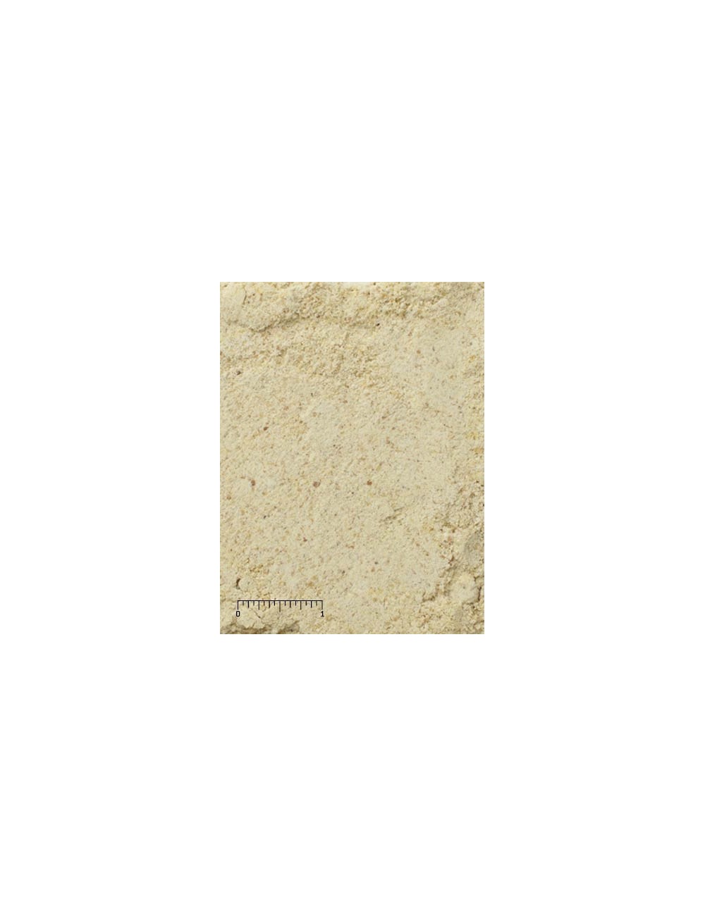 MAZURI - Ramphastid Hand Feeding Formula