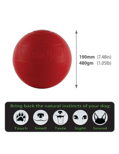 AUSSIE DOG - BEB1 Balle Enduro - Medium