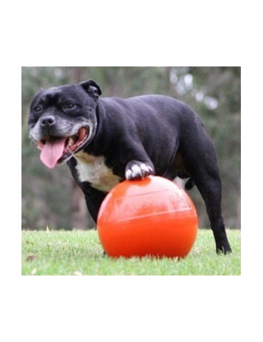 AUSSIE DOG - BSTB Balle Staffie
