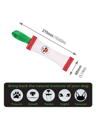 AUSSIE DOG - SS1 Fetch it - Small