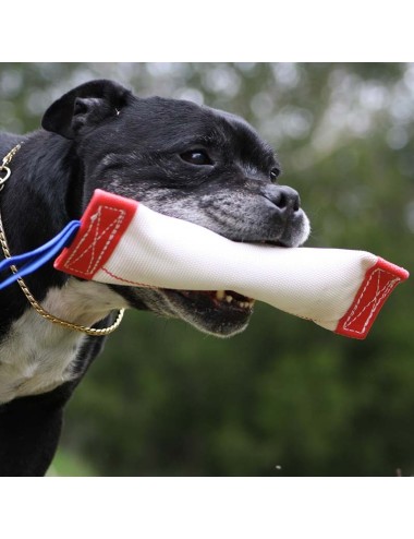 AUSSIE DOG - SS1 Fetch it - Small
