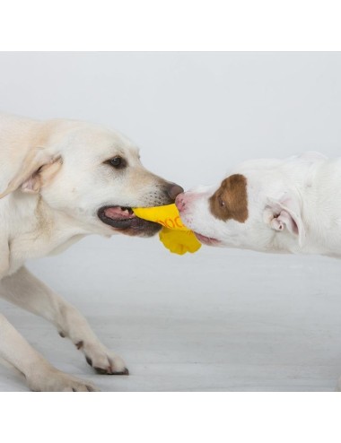AUSSIE DOG - TET1 Pull it - Large