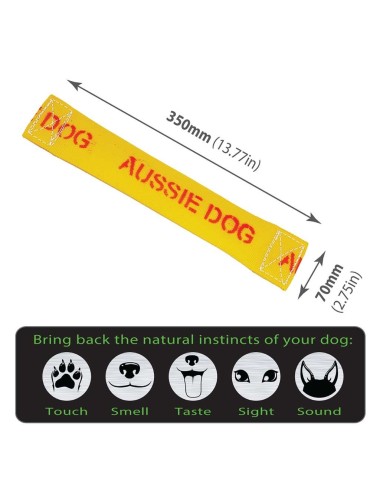 AUSSIE DOG - TST1 Get It Large