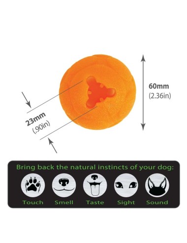 AUSSIE DOG - BB-05 Balle Buddy Small