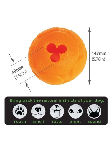 AUSSIE DOG - BB-03 Balle Buddy Large