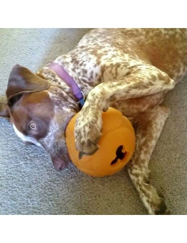 AUSSIE DOG - BB-03 Buddy Ball Large