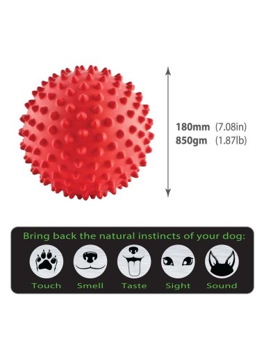 AUSSIE DOG - BMB1 Mitch Ball Red