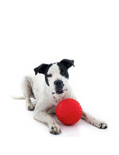 AUSSIE DOG - BMB1 Mitch Ball Red