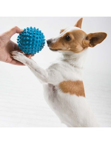 AUSSIE DOG - PP1 Puppy Pack Mini