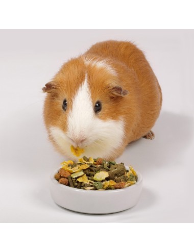VERSELE - Crispy Muesli Guinea Pigs